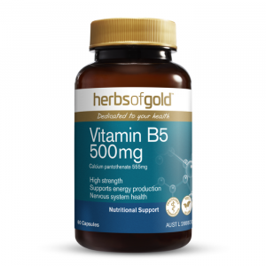 Herbs of Gold – Vitamin B5 500mg – 60 caps